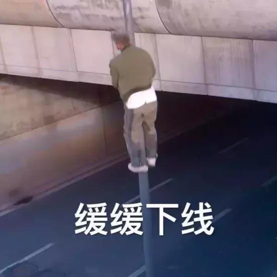 蹦迪摇头表情动图,斗图表情包聊天必备表情包