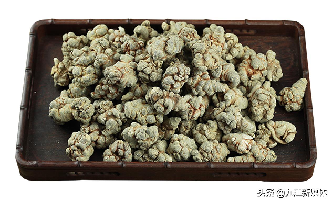 中医专家义诊服务,中医适宜技术免费义诊