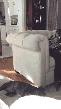 搞笑时刻心情变好,搞笑时刻大家开心就好