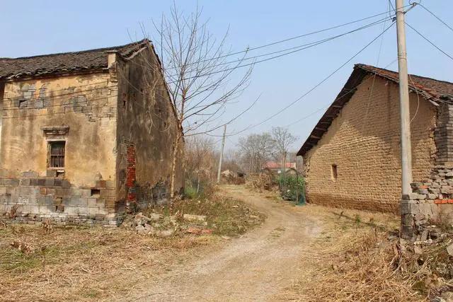 小伙当上门女婿照顾老弱病残,小伙当上门女婿完整版