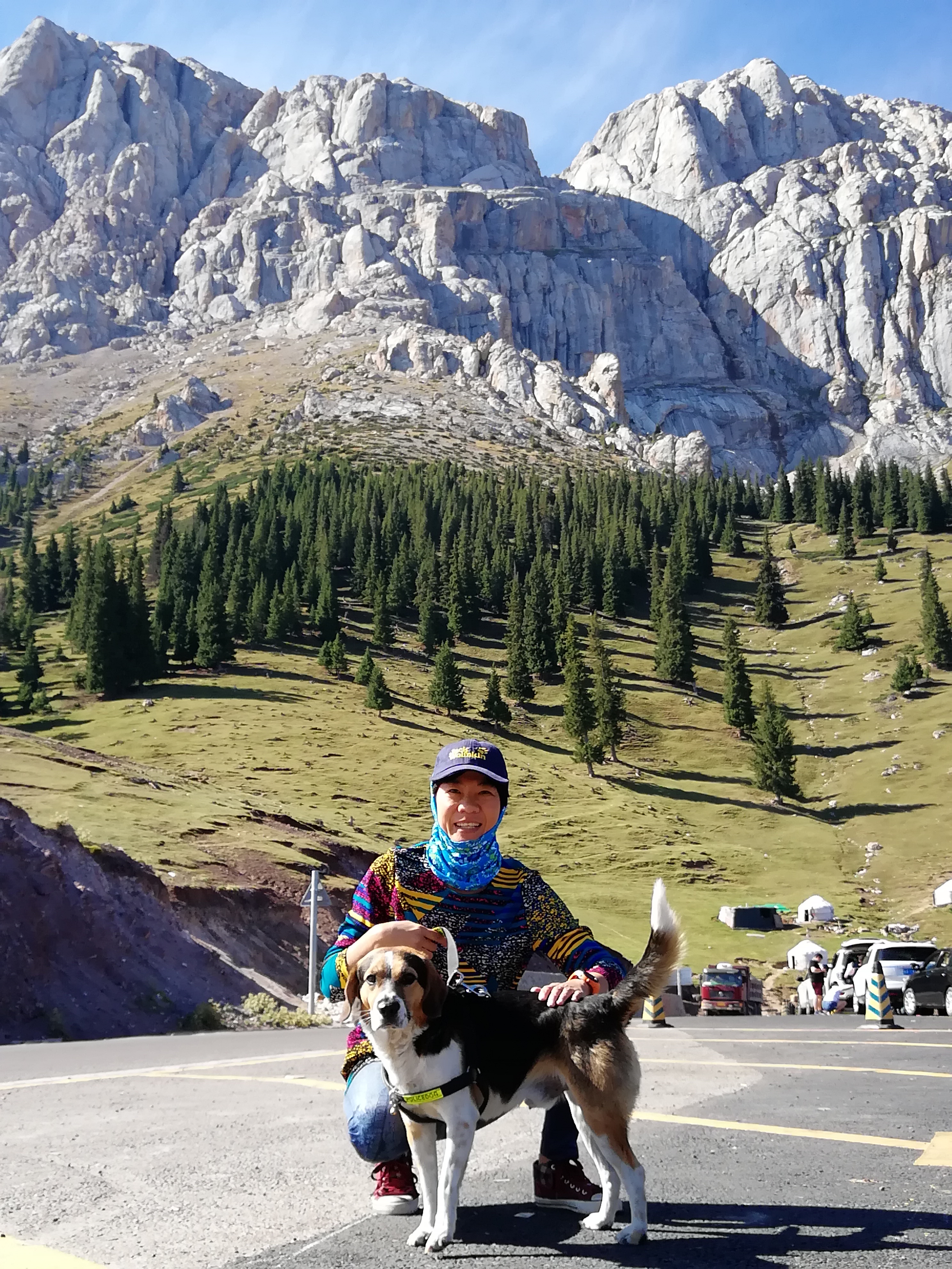 带狗自驾新疆注意事项,想带狗狗去新疆