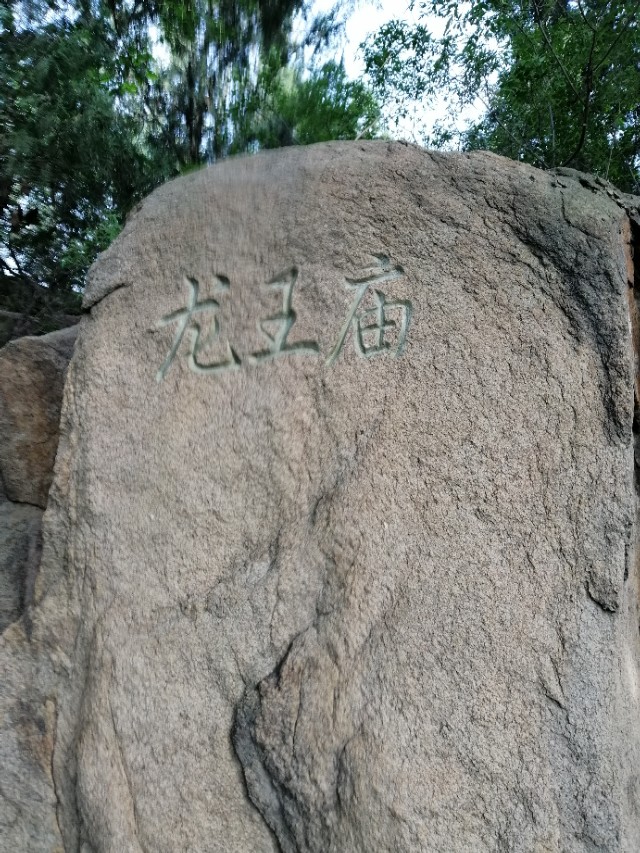 $.97.樱桃时节赴龙潭