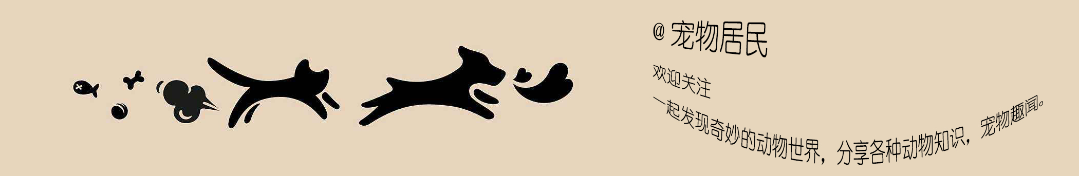 狼狗和德牧有区别吗,狼狗跟德牧有什么区别