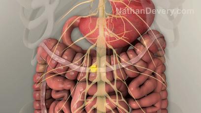 一紧张就想拉屎怎么办,一紧张就想拉屎怎么克服