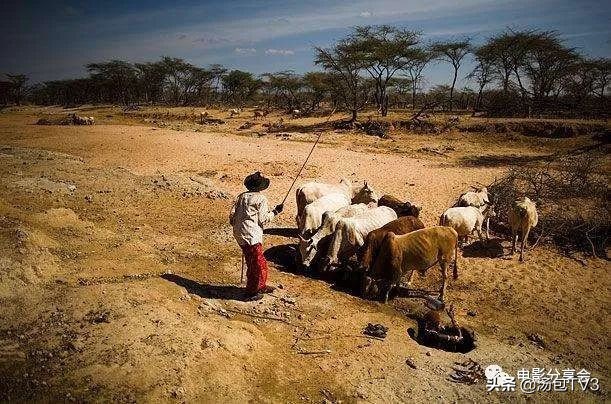 宅在家做什么系列丨7部与非洲有关的电影