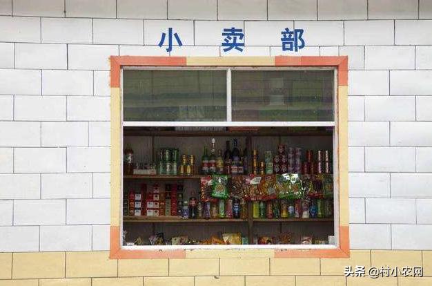 乡村创业能做些什么项目,适合女人在农村干的18个创业项目