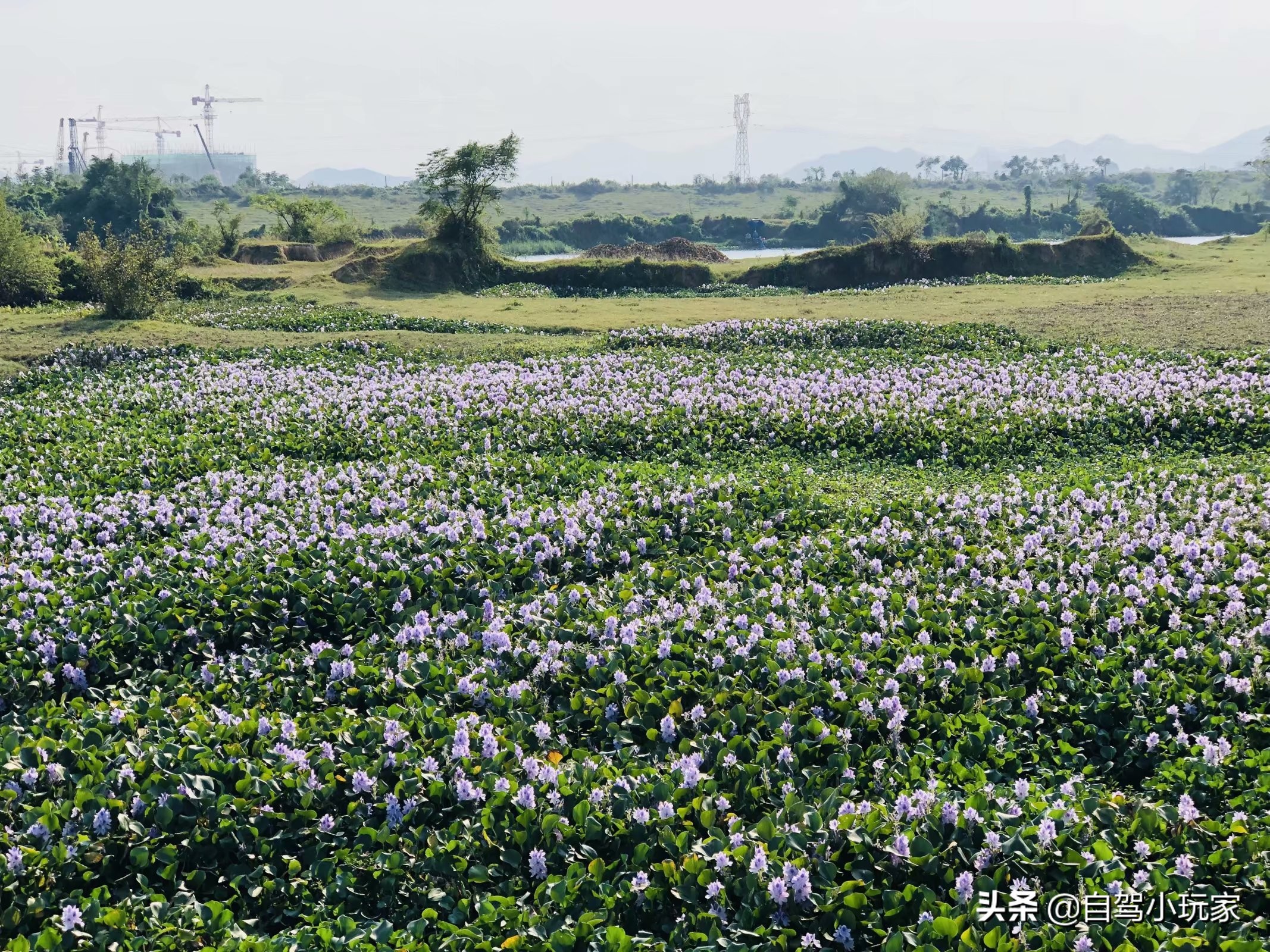 离深圳最近的野营地,深圳适合钓鱼露营的地方