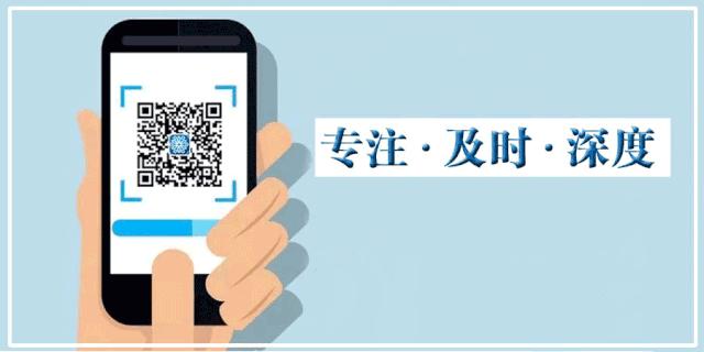 鸡100元10只怎么购买,100元钱一只的鸡