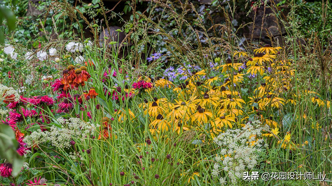 2023年切尔西花展各个花园的介绍,切尔西花展最佳花园