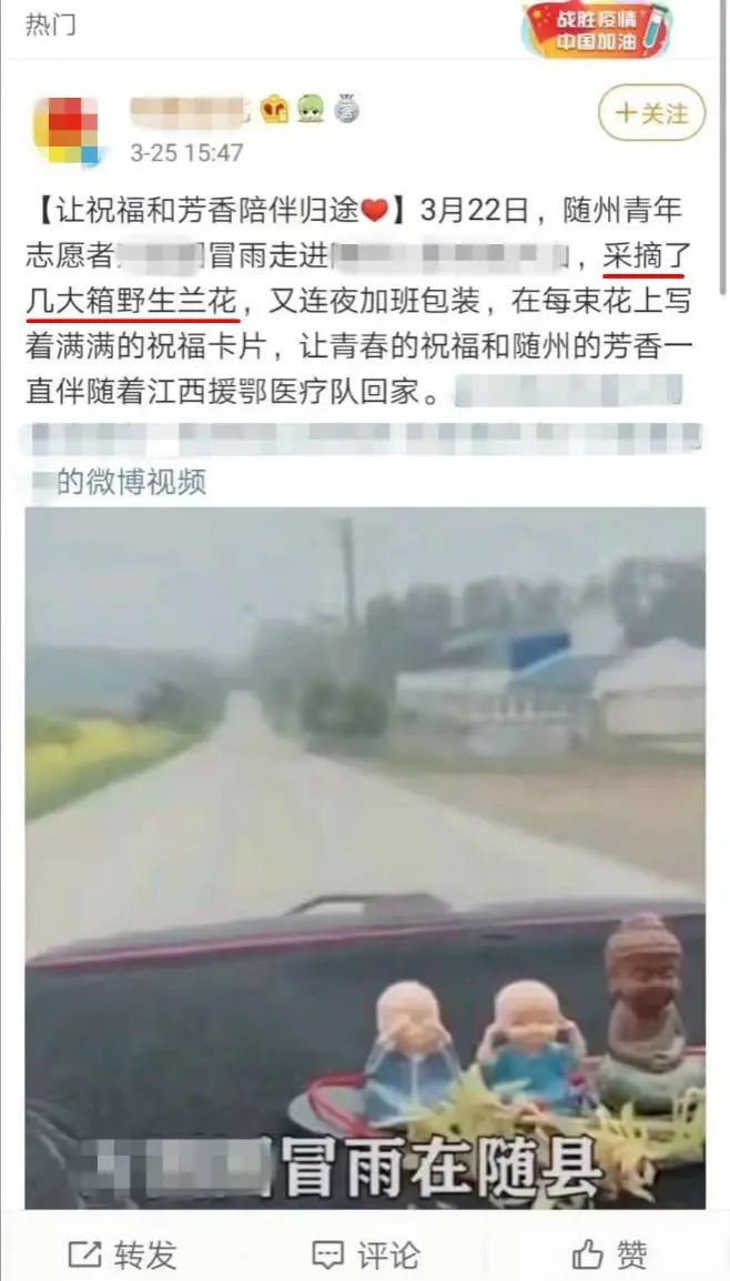 天价兰花成交,昂贵的野生兰花