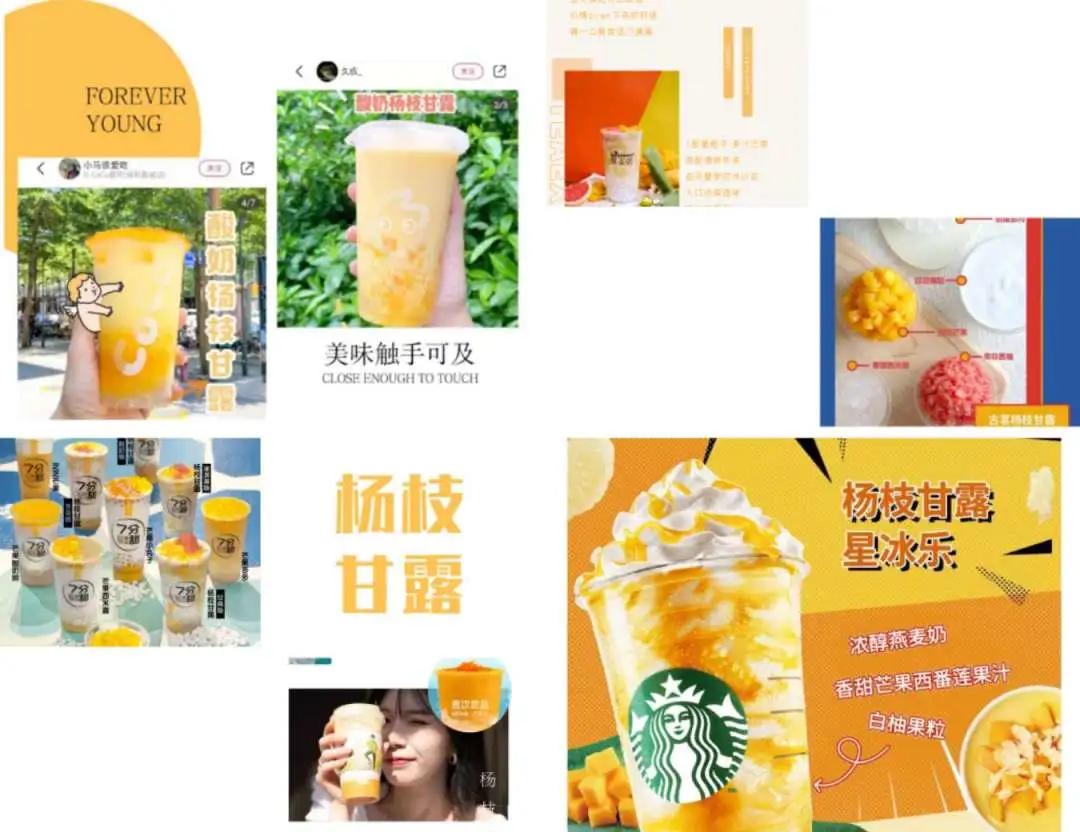 杨枝甘露还有哪些果茶,水果茶贵一点还是杨枝甘露贵一点