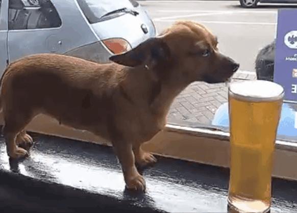 墨西哥饥荒现状,switch墨西哥饥荒