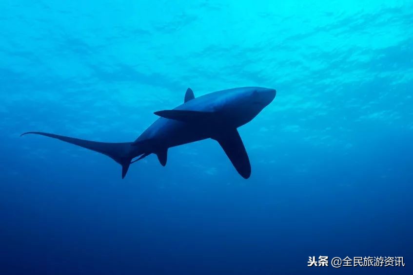 离中国很近的国家,小众冷门旅行地推荐