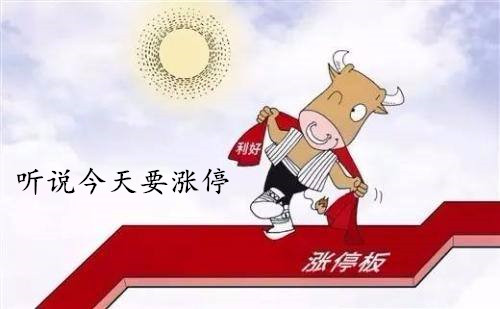 厦门一哥股票,厦门一哥炒股视频
