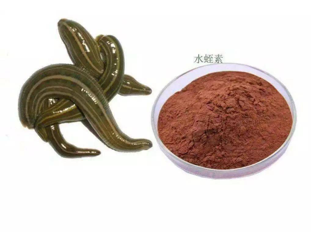 水蛭被吃进肚子里会存活吗,将水蛭放入冰箱还能活