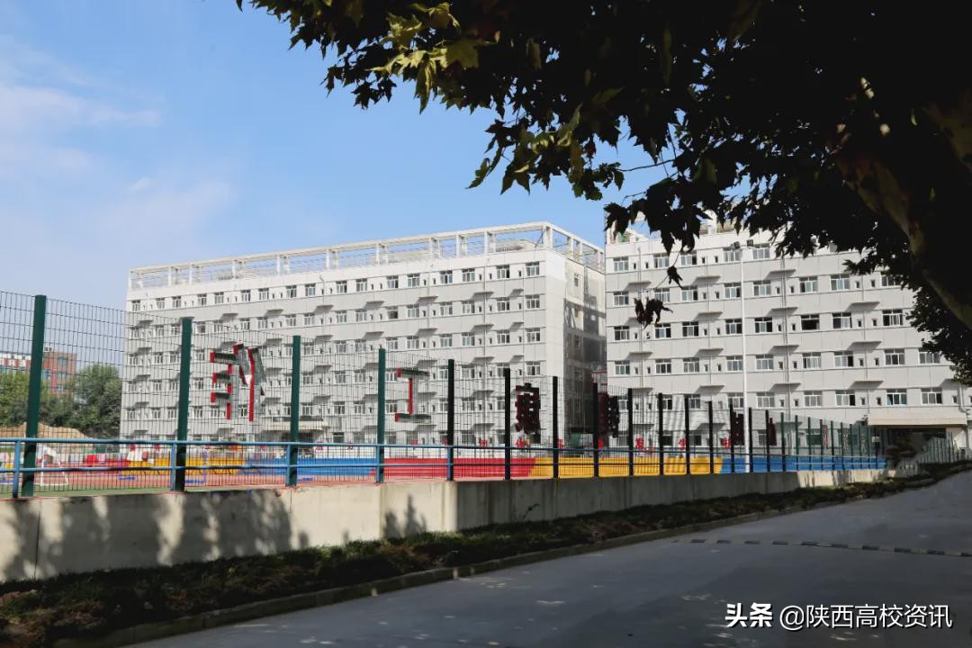 陕西财经职业技术学院单招题,陕西财经职业技术学院24届招生