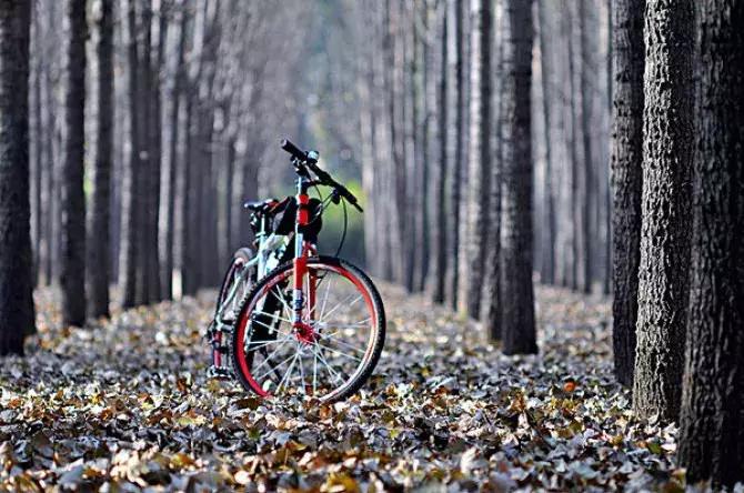 自行车不装挡泥板的下场,自行车不安装脚撑