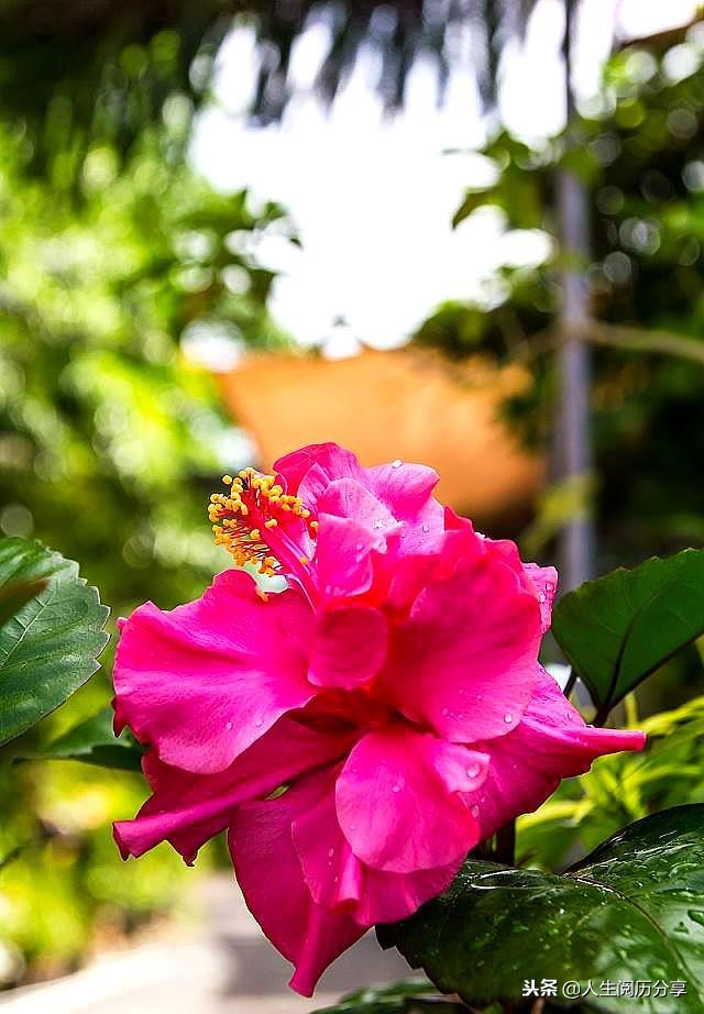 人生格言经典短句励志正能量,正能量人生格言励志短句大全