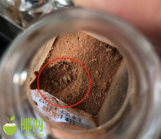 虫子“藏身”星巴克海口望海国际店可可粉中吓倒咖啡迷！