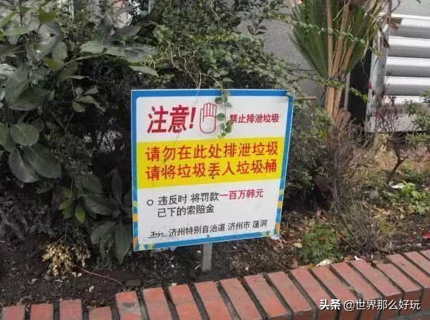 国外用中文写的标语,国外中文标语警示