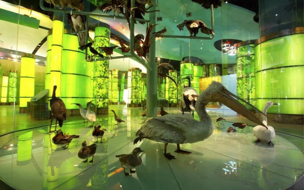 上海科技馆景点大全,上海科技馆景点介绍