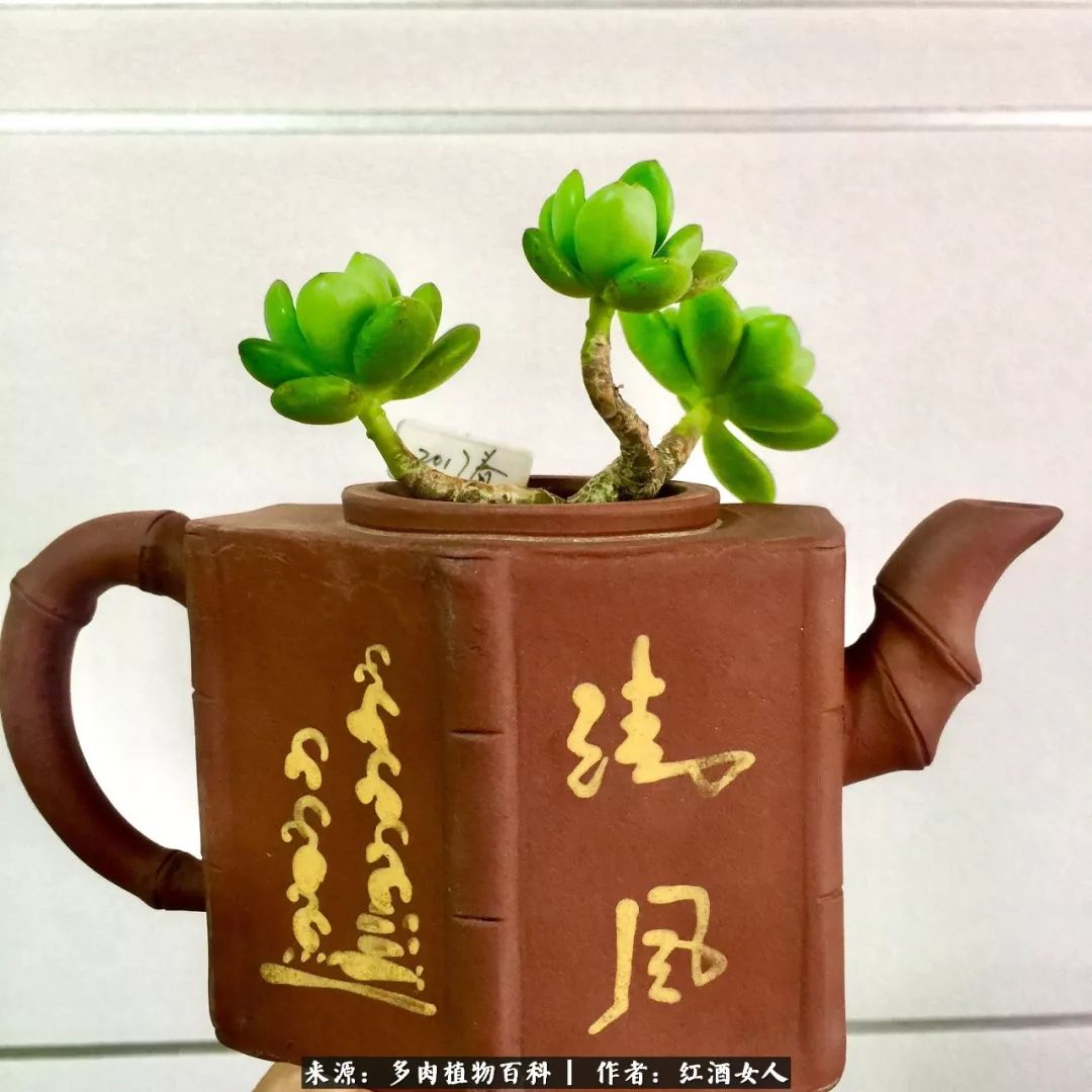 记录走过的美景留下美好的回忆,记录走过的每一段美好时光