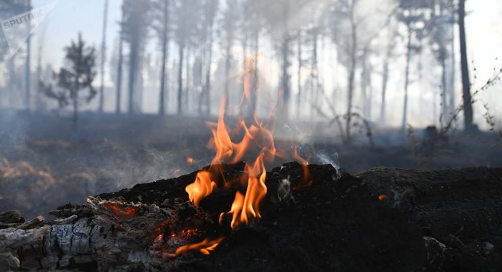 气候变暖对北极海冰的影响,北极海冰预报