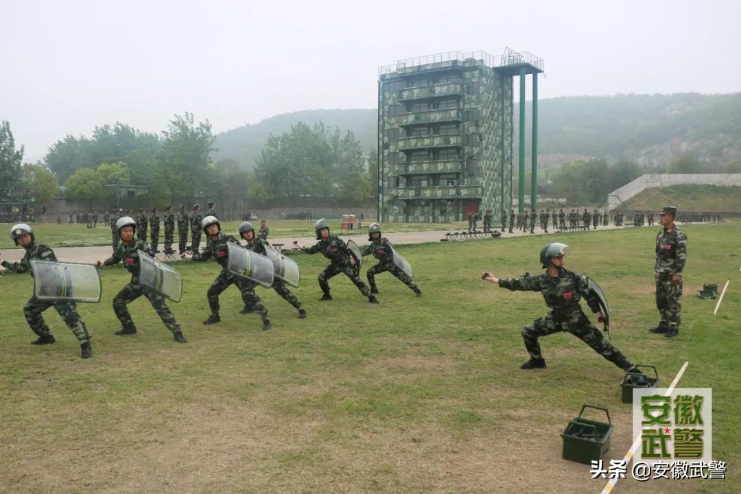 当一名好兵的感悟,怎样成为一名好兵