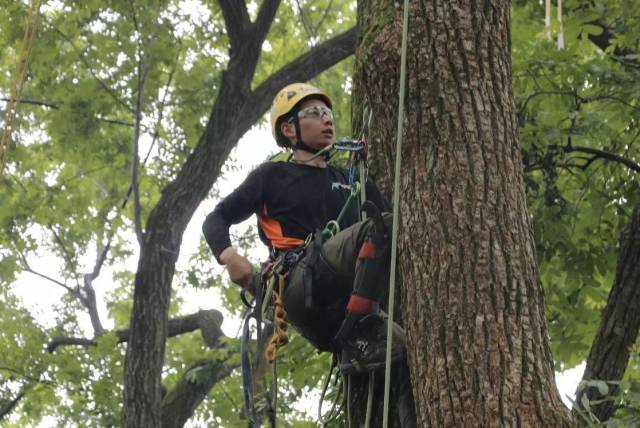 异军突起的湖北大学,湖北大学盘点