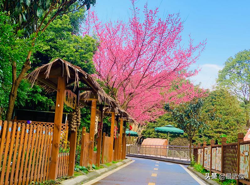 孩子开学生活步入正轨视频,开学后的校园生活