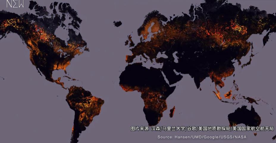 富二代人骨皮包的真实图片,人骨皮包真相曝光