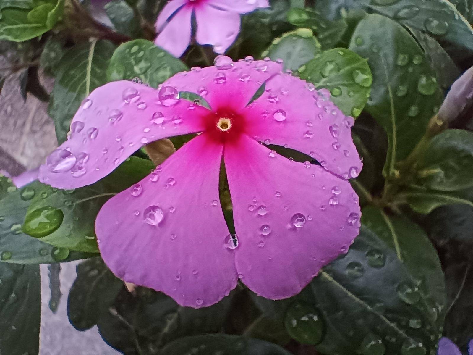 realme真我v15好吗,realme真我V5测评