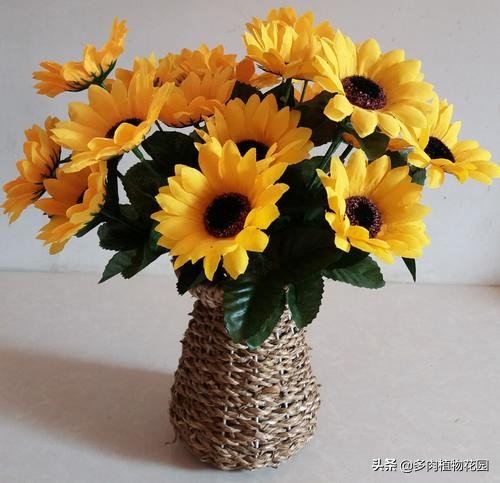 教师节送老师的花折纸,教师节送给老师的花去哪里了