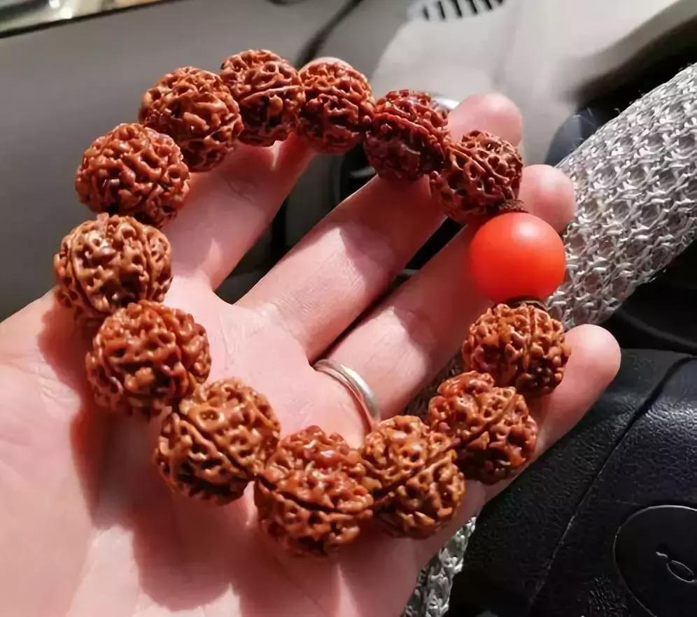 金刚贵贱区别,金刚菩提多久能红