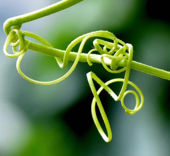 念什么咒语会改变运气,念什么咒语能让你运气变好