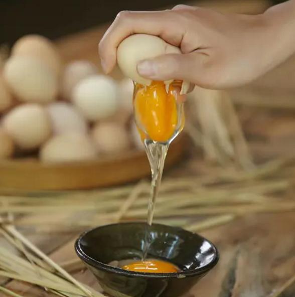 文峰文旅｜感动常在文峰饭店