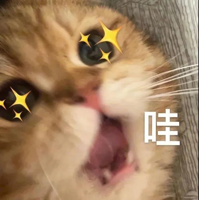 纸尿裤避坑指南来啦,选纸尿裤攻略