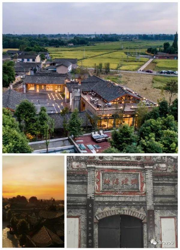 【慢游新天府，感受新成都】端午节特辑（二）|世界冠军蒋文文、蒋婷婷带你去逛川西林盘和特色小镇打卡地