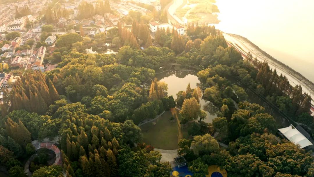 深秋回暖，安排！沪上各区的深秋美景，你准备好打卡了吗？