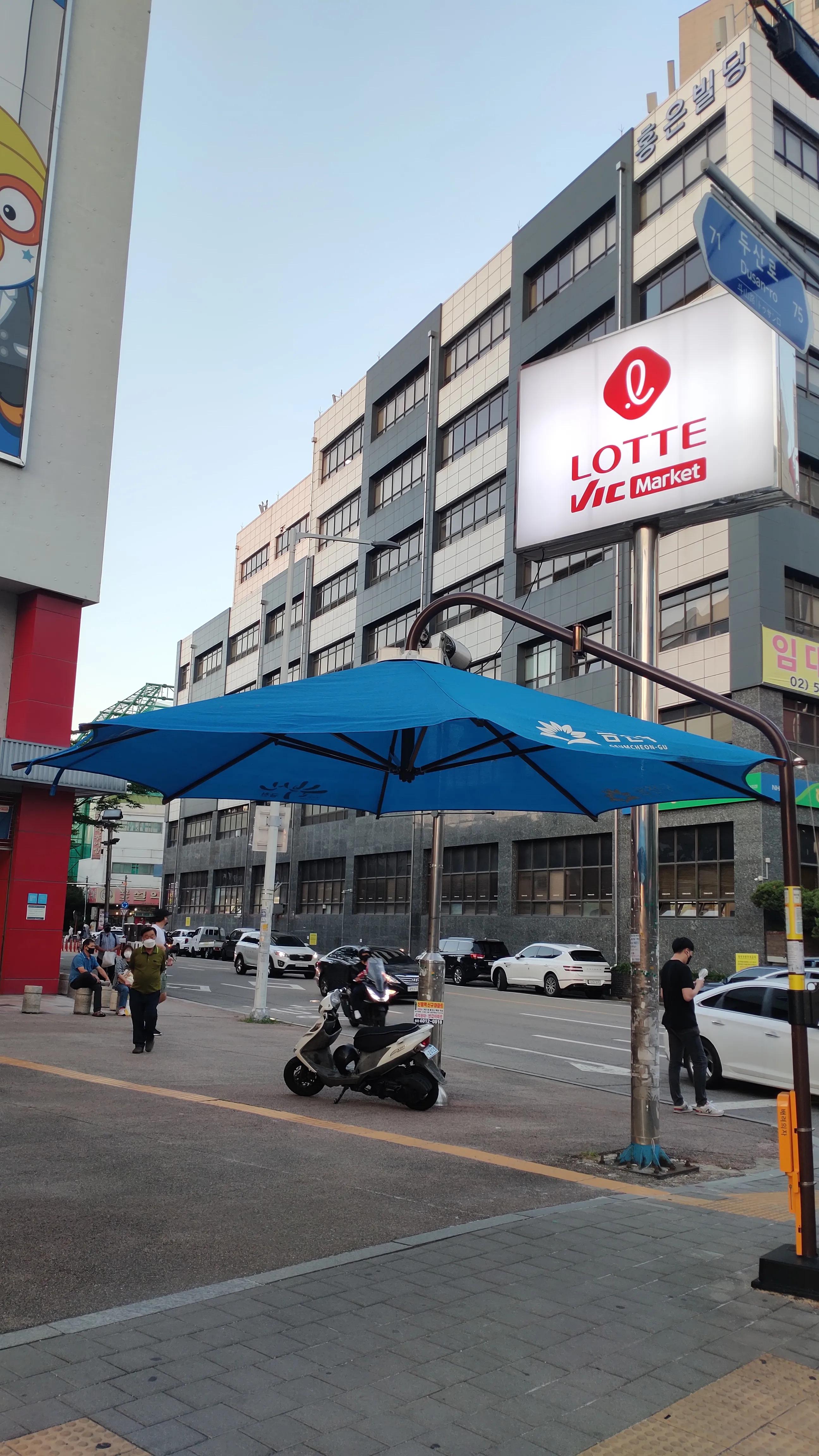 首尔layered咖啡,首尔很多萨摩耶的地方