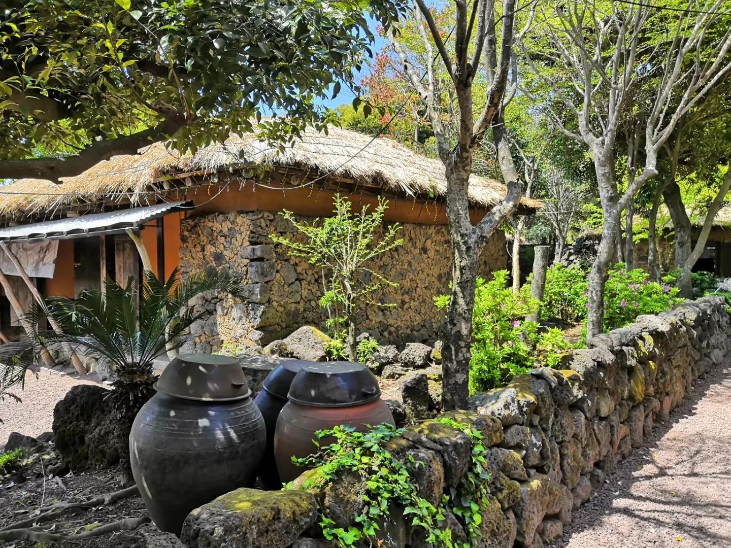 心血来潮去爬山,想去济州岛看海