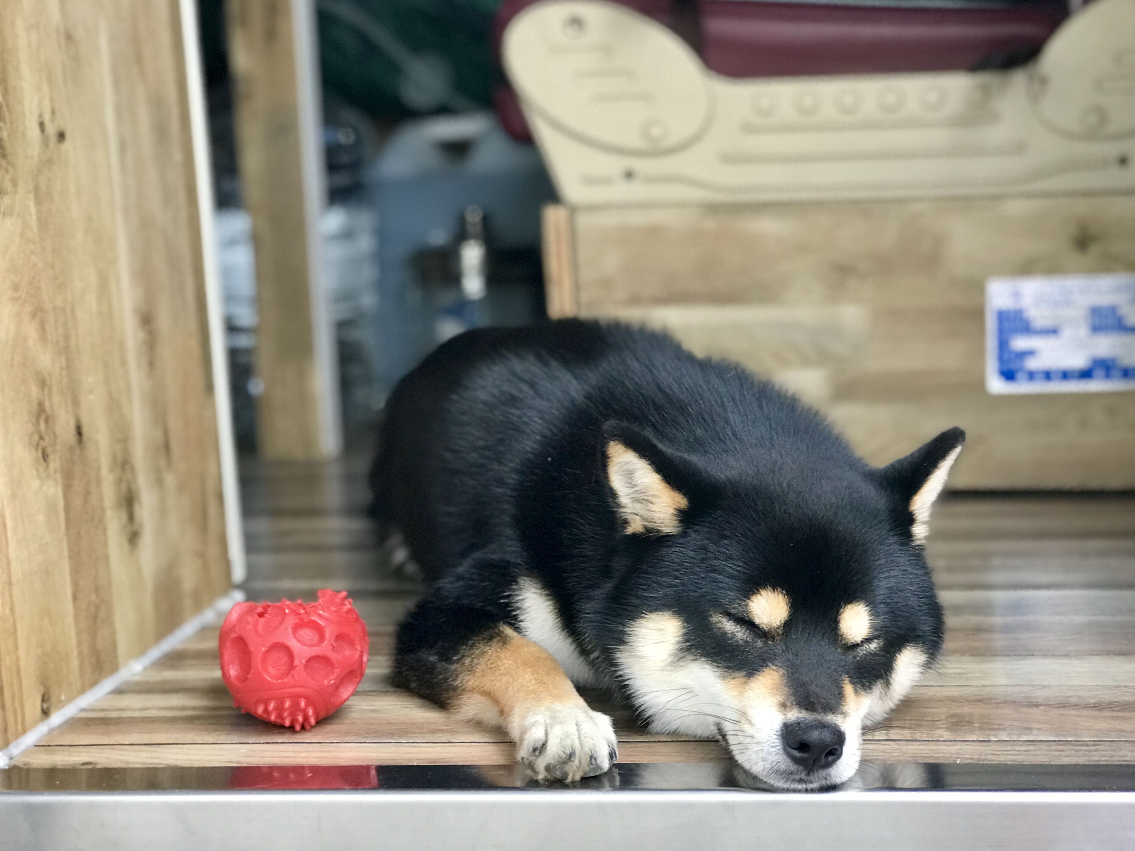 五一自驾野游珠海,珠海自驾游东北路线攻略
