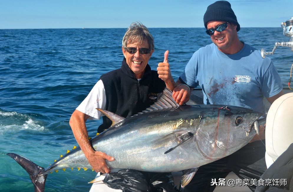 名贵海鲜干货有哪些品种,名贵海鲜水产品种类