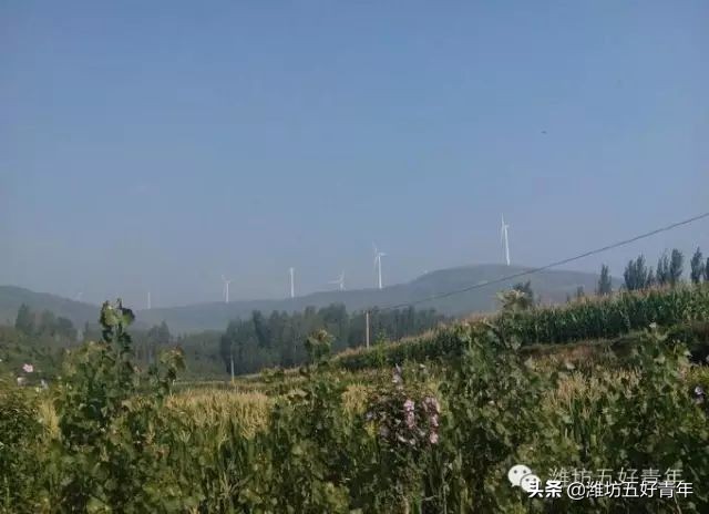 西行纪的最后一集,西行纪最后片段