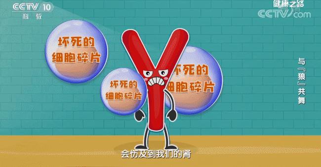 是否能从免疫学角度治疗红斑狼疮,干细胞疗法对红斑狼疮的治疗效果