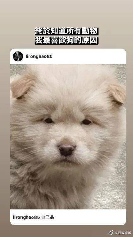 李荣浩悲惨的故事,李荣浩悲惨故事