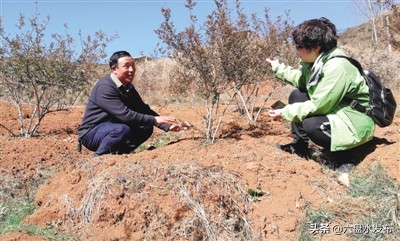 大凉山乡村变形记,大变形记