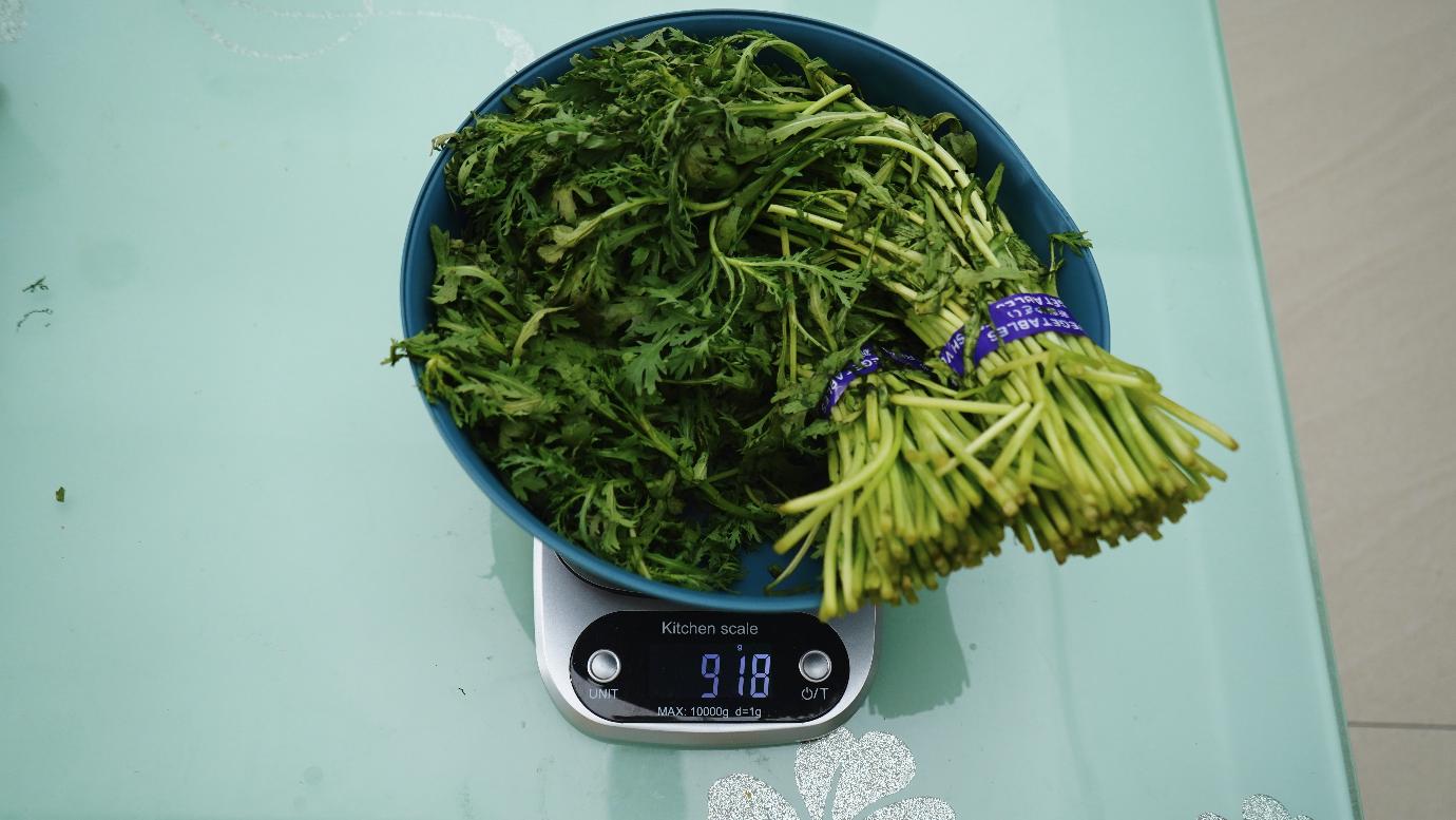 体积不大，容量不小，全域净化，水润微风——海信四门体验