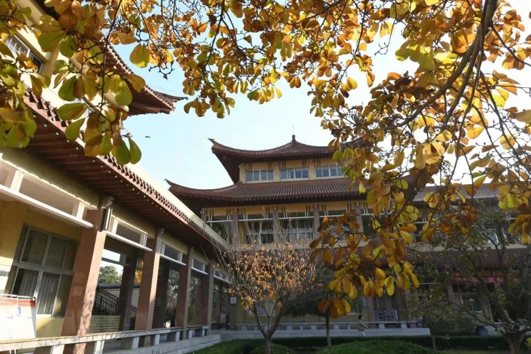 诗溢西夏的作品,诗溢