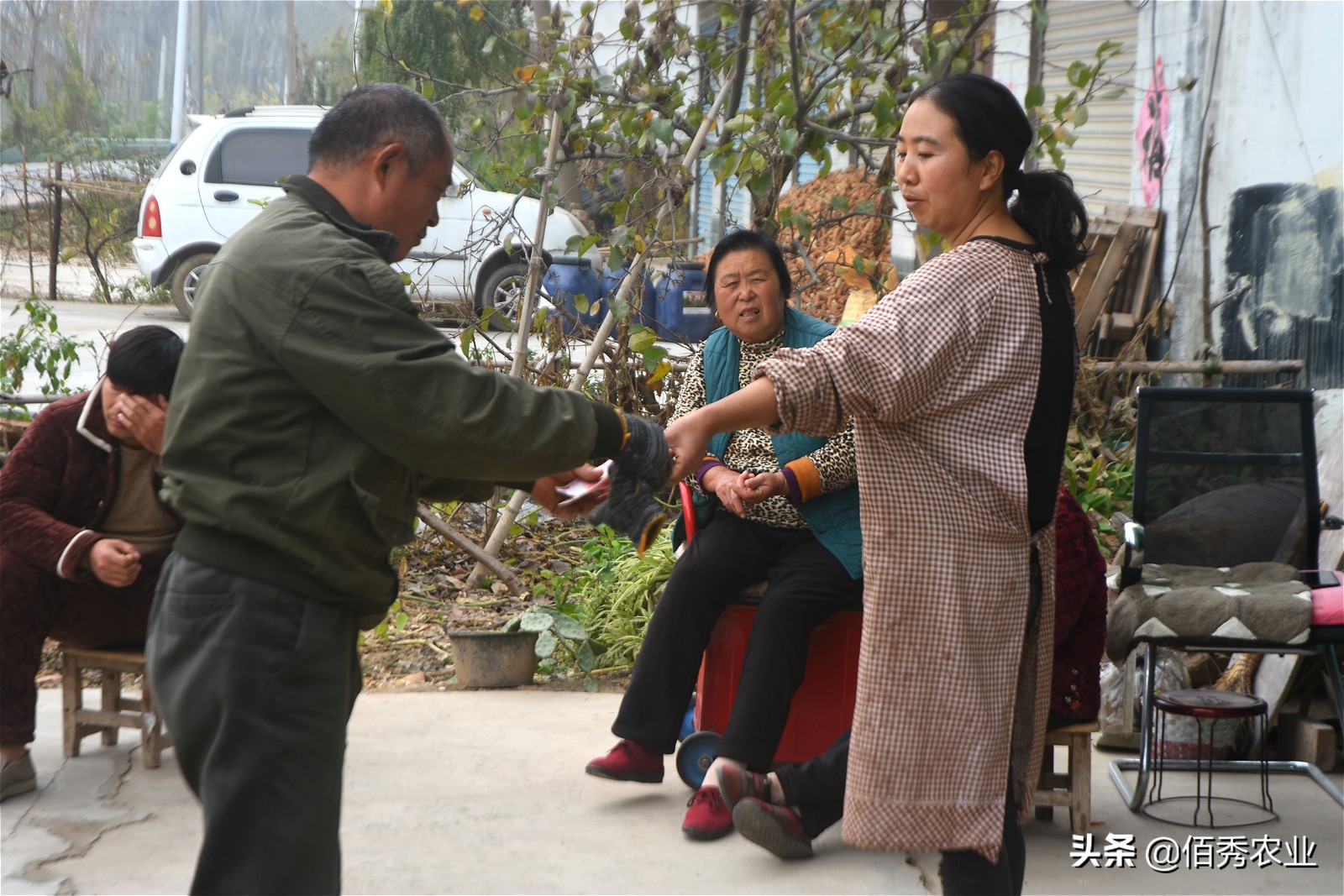 农村大姐养猪种菜,农村大姐养殖创业